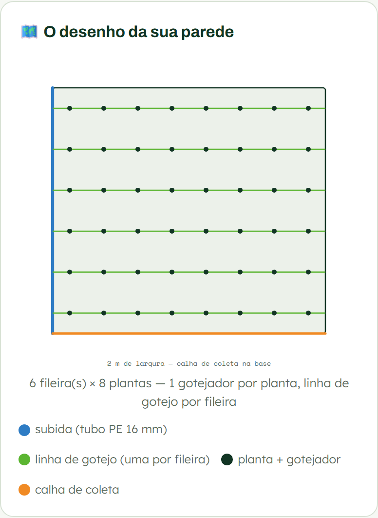 Captura real do app: desenho da parede com as fileiras, a linha de gotejo de cada uma, os gotejadores por planta e a calha de coleta na base
